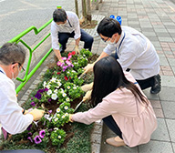 Sustainability Image