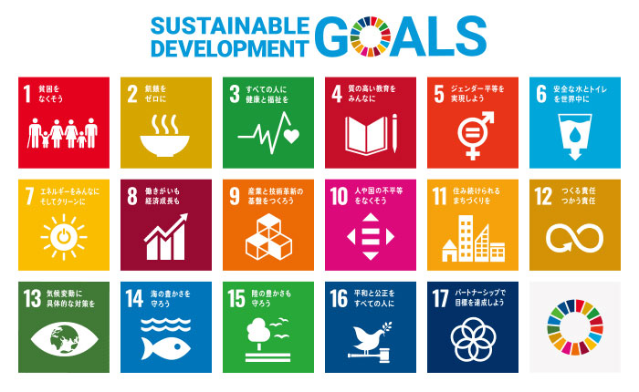 SDG Banner